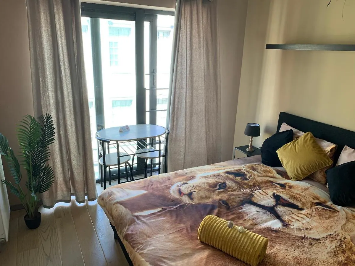 Bed & Breakfast Bnb Antwerp Centrum Belgium